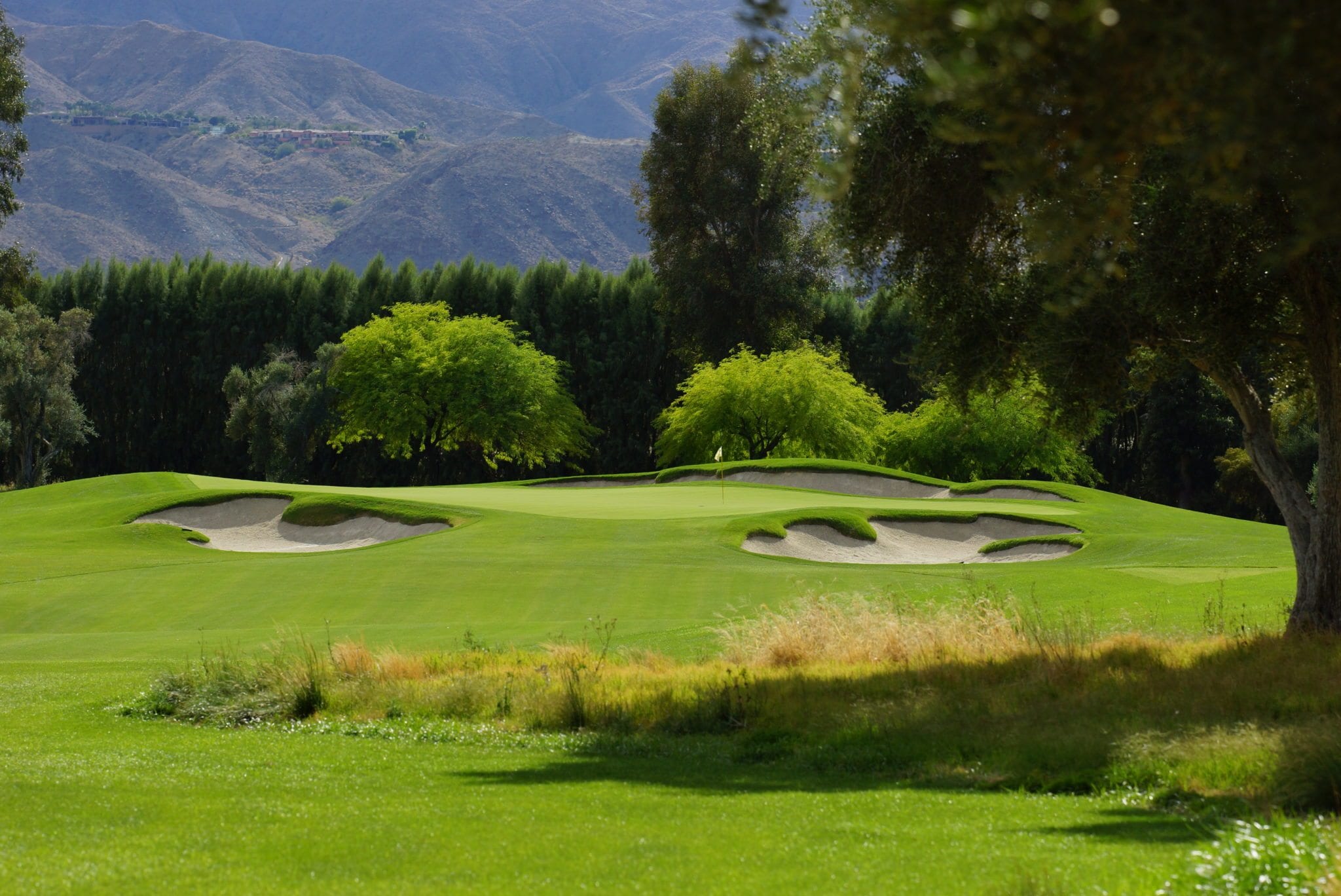 Sunnylands Spotlight Keeping the Greens Green Sunnylands