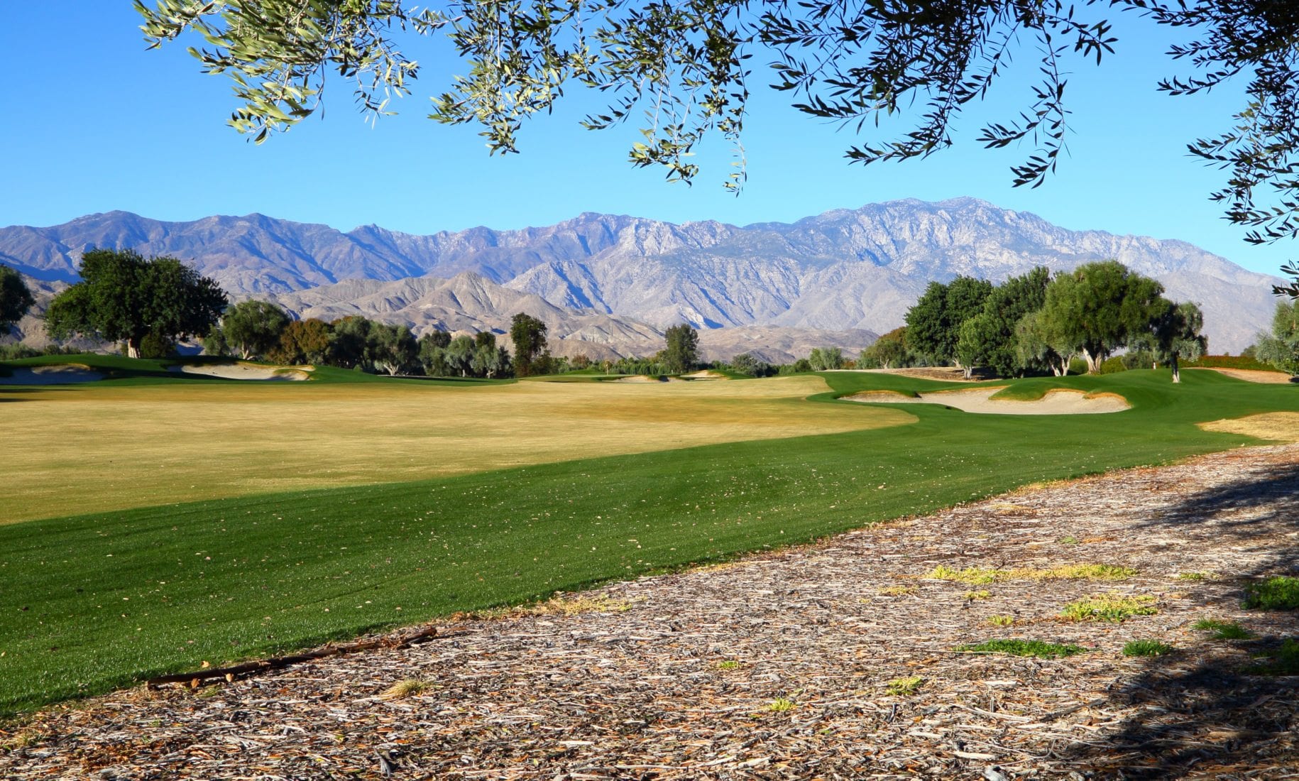 FAQ: Saving Water at Sunnylands