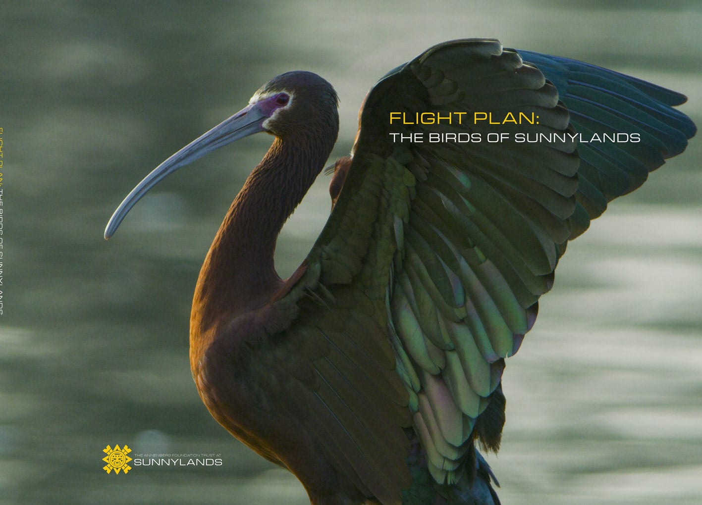 Sunnylands Center & Gardens opens new season with a riveting look at the lives of birds