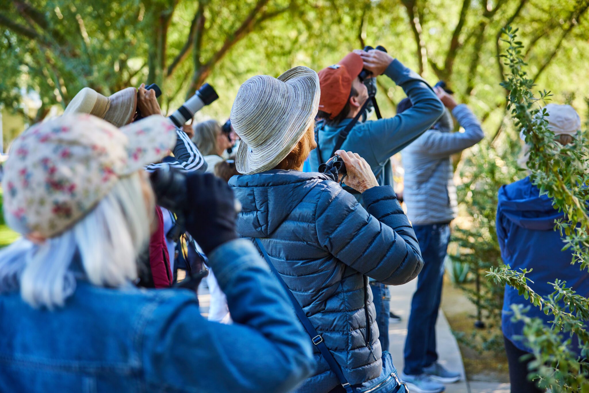 Free Guided Bird Walks