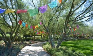 CV Days of Los Muertos paper decorations