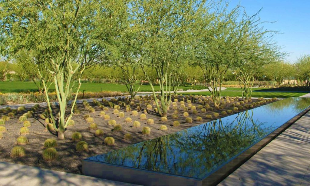 Center & Gardens fountain