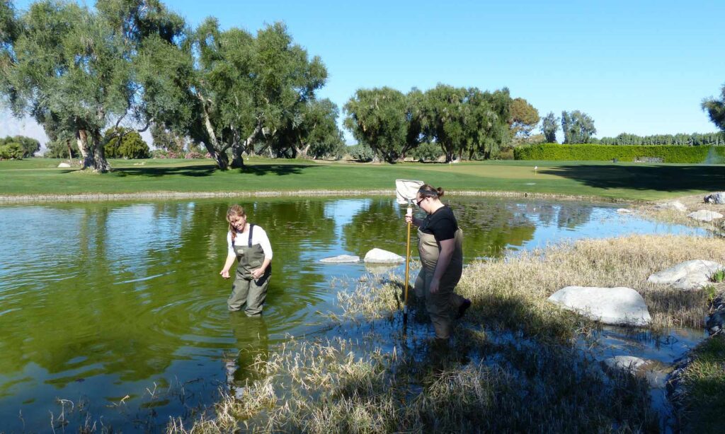 Historic estate macro-invertebrate study