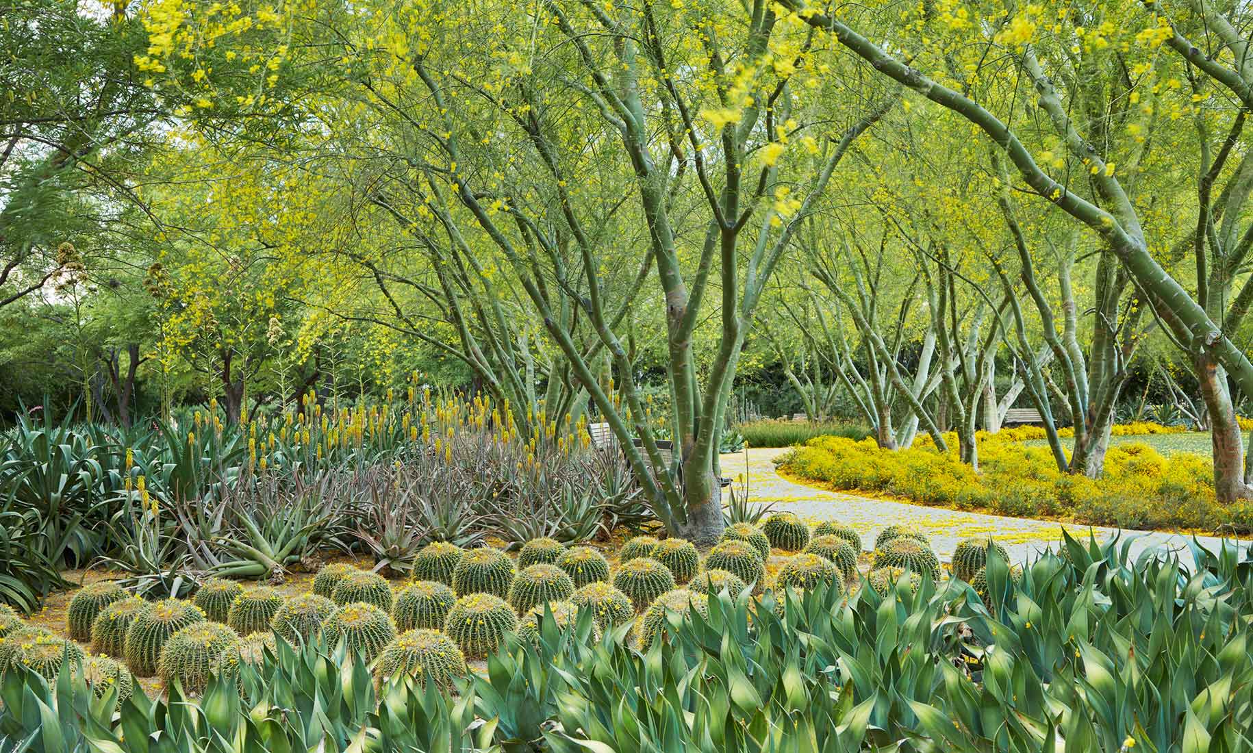 Water Conservation: Center & Gardens