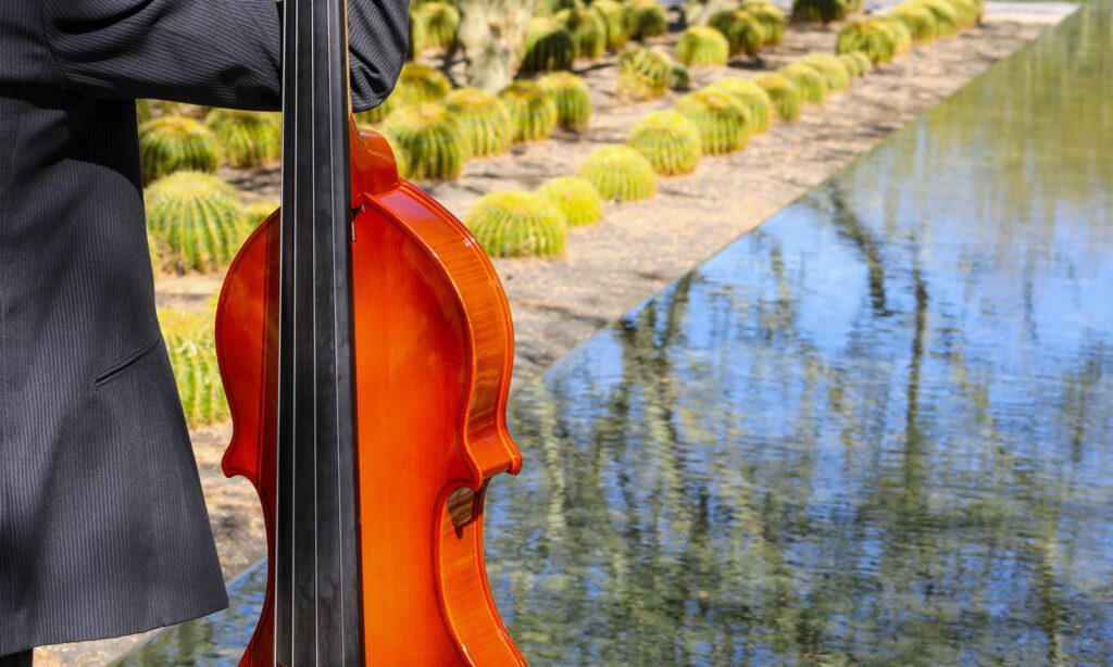 Music in the Gardens instrument closeup