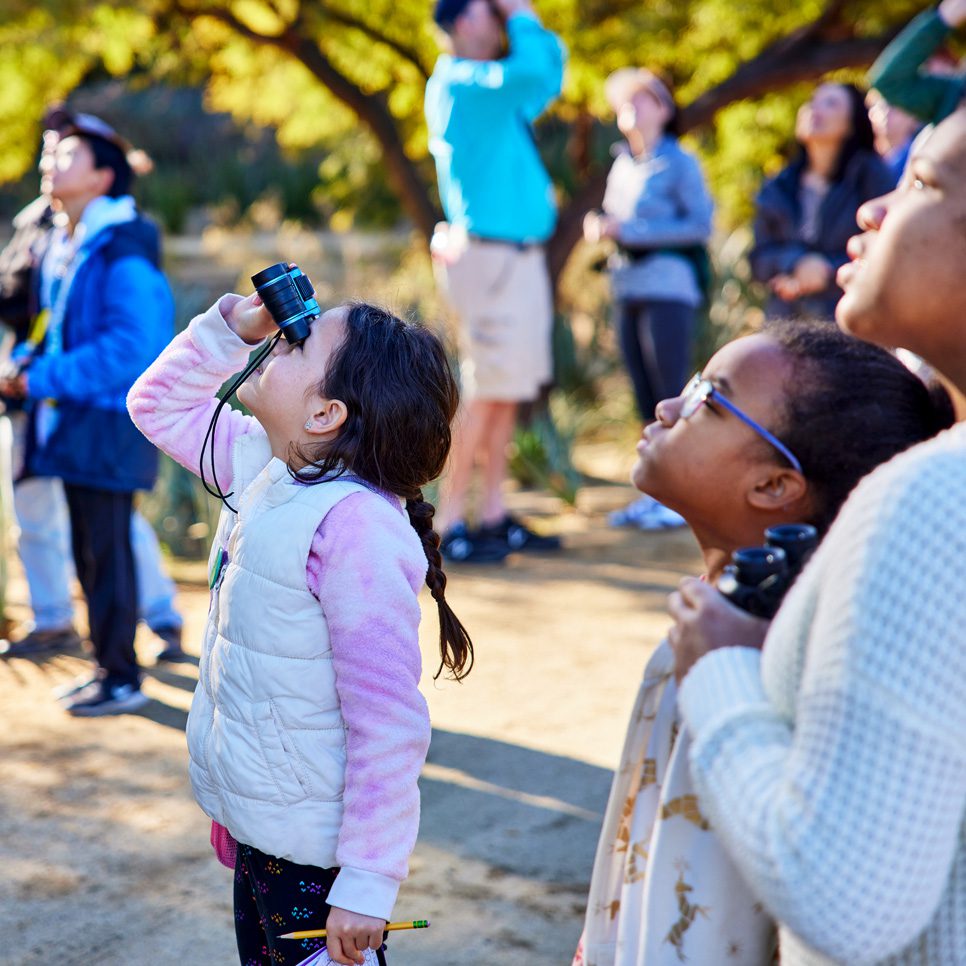 A group of guests birding in the Sunnylands gardens