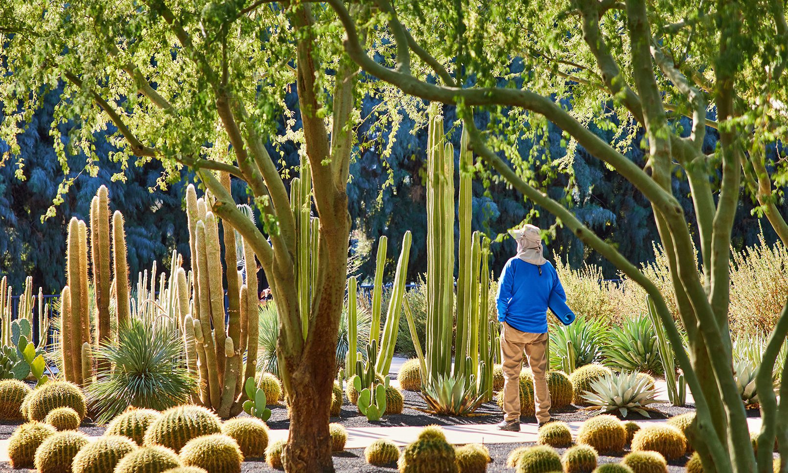 Audio Gardens Walks