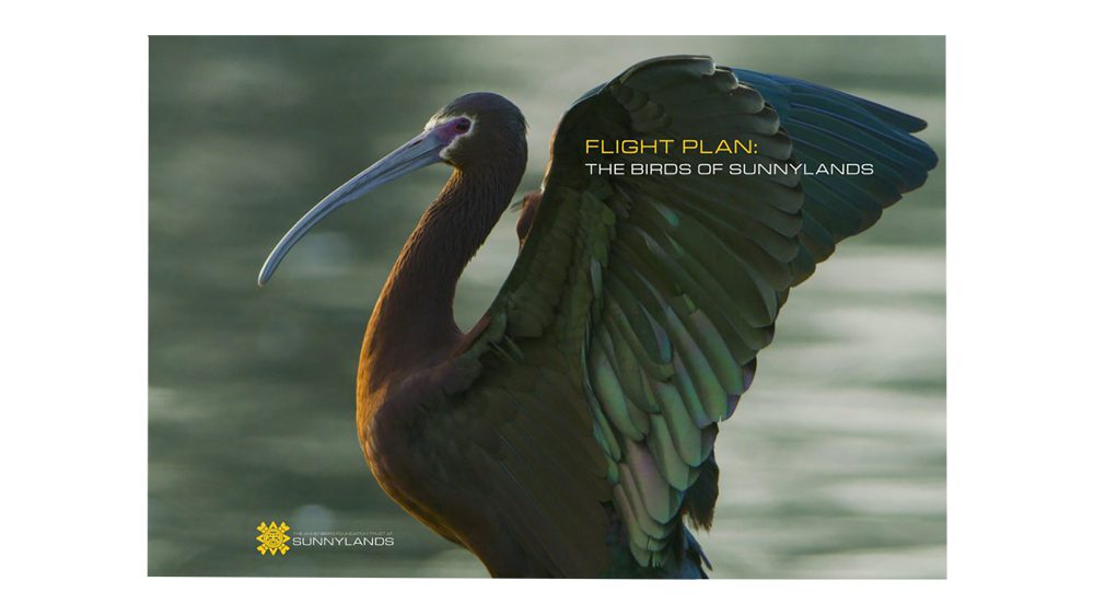 Flight Plan: The Birds of Sunnylands