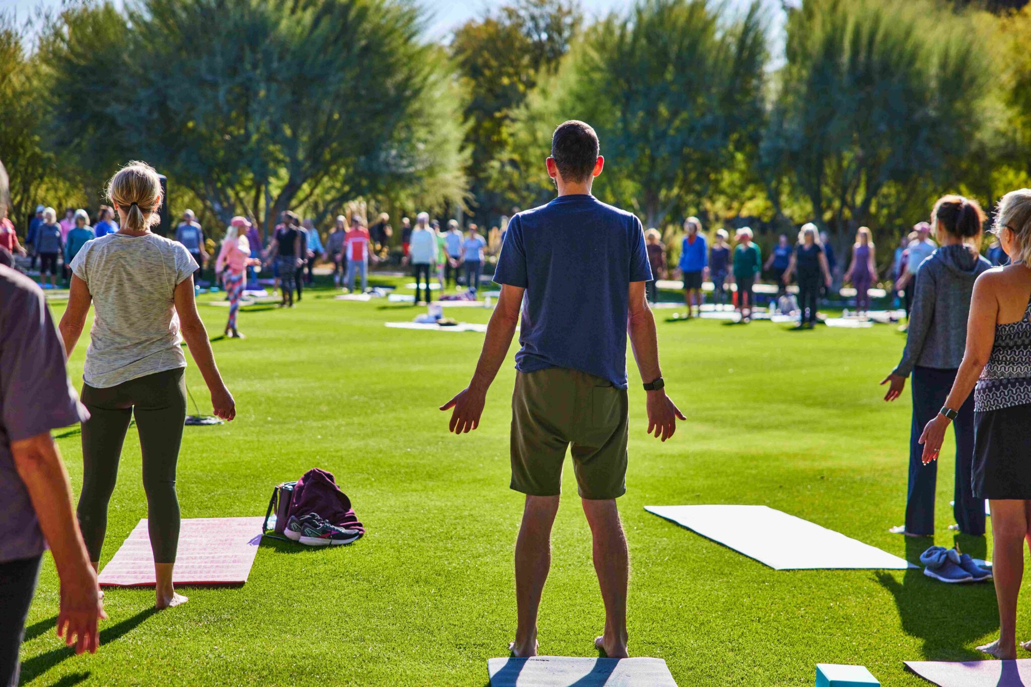 Yoga in the Gardens returns in November with a new monthly schedule
